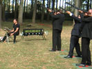 Ball Trap Laser